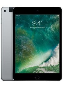 Apple iPad mini 4 (2015) | 7.9" | 16 GB | 4G | spacegrey