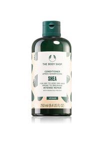 The Body Shop Shea Conditioner balsamo per capelli secchi e fragili 250 ml