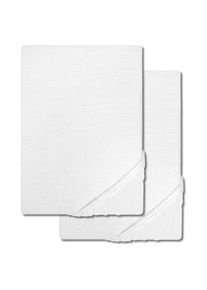 Pachet dublu de cearșafuri CloudComfort Basic jersey stretch alb 90 x 190 - 100 x 200 cm (2 bucăți)