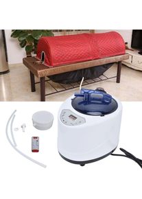 Générateur de vapeur portable pour sauna 1000 w - Machine de fumigation pour spa à domicile - Prise ue AC220-240 v