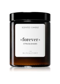 Ambientair The Olphactory Citrus & Shades candela profumata Forever 135 g