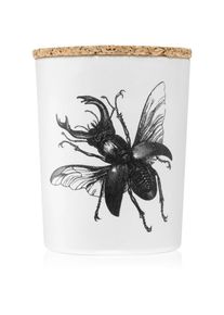 Vila Hermanos Insect Lucanus Cervus candela profumata 75 g