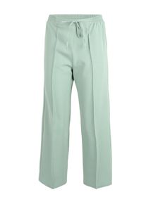 Dorothy Perkins Petite Spodnie w kant dla kobiet miętowy Rozmiar 34