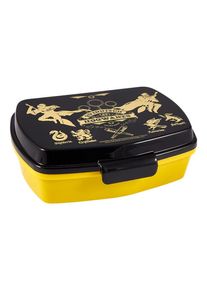 Euromic HARRY POTTER Quidditch lunch box plastic