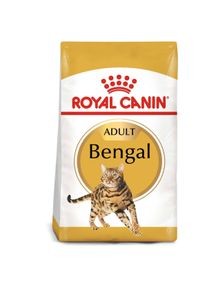 Royal Canin Bengal Adult Katzenfutter trocken 10kg