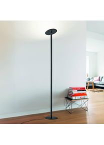 Fabas Luce LED-Stehleuchte Regina, schwarz, CCT, dimmbar, Höhe 180 cm