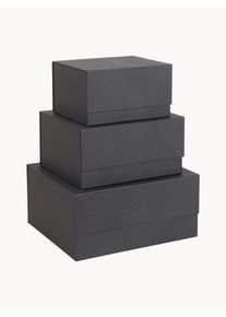 BIGSO BOX OF SWEDEN Súprava úložných škatúľ Ilse, 3 ks