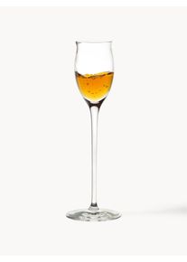 Stölzle Lausitz Krystal-likørglas Quatrophil, 6 stykker
