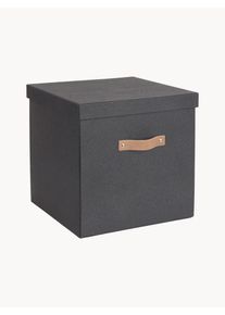 BIGSO BOX OF SWEDEN Úložná škatuľa Logan