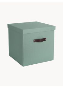 BIGSO BOX OF SWEDEN Úložná škatuľa Logan