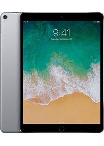 Apple iPad Pro 2 (2017) | 10.5" | 512 GB | spacegrau