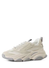 Steve Madden Dames Sneakers laag 'Possession' crème / ecru / grijs 36