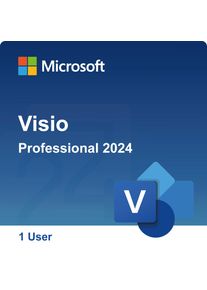 Microsoft Visio Professional 2024