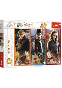 Trefl Harry Potter: Ve světě magie a kouzel 200 dílků