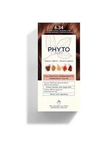 Phyto - Haartönung 110 ml Schwarz