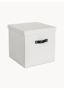 BIGSO BOX OF SWEDEN Úložná škatuľa Logan