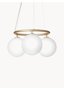 Glaskula Pendellampa Miira