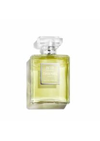 Chanel - N°19 POUDRÉ EAU DE PARFUM S ROZPRAŠOVAČOM Parfumová voda 100 ml female