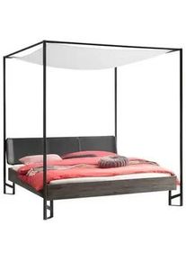 Hasena Himmelbett , Anthrazit, Akaziefarben, Dunkelgrau , Holz , Akazie , massiv , Höhe ca. 22 cm , 140x200 cm , gepolstertes Kopfteil, in verschiedenen Größen erhältlich , Schlafzimmer, Komplette Schlafzimmer und Serien, Schlafzimmerserien