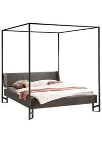 Hasena Himmelbett , Anthrazit, Grau, Akaziefarben , Holz , Akazie , massiv , Höhe ca. 22 cm , 160x200 cm , gepolstertes Kopfteil, in verschiedenen Größen erhältlich , Schlafzimmer, Komplette Schlafzimmer und Serien, Schlafzimmerserien