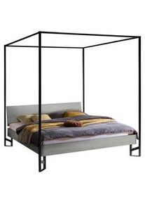 Hasena Himmelbett , Grau , Holzwerkstoff , Betonoptik , 180x200 cm , in verschiedenen Holzdekoren erhältlich, in verschiedenen Größen erhältlich , Schlafzimmer, Komplette Schlafzimmer und Serien, Schlafzimmerserien
