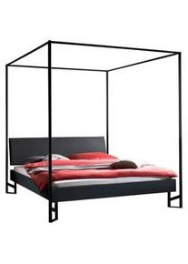 Hasena Himmelbett , Anthrazit , Holzwerkstoff , 140x200 cm , gepolstertes Kopfteil, in verschiedenen Holzdekoren erhältlich, in verschiedenen Größen erhältlich , Schlafzimmer, Komplette Schlafzimmer und Serien, Schlafzimmerserien