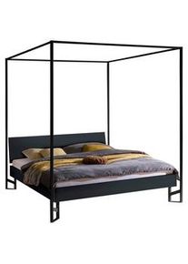 Hasena Himmelbett , Anthrazit , Holzwerkstoff , 140x200 cm , in verschiedenen Holzdekoren erhältlich, in verschiedenen Größen erhältlich , Schlafzimmer, Komplette Schlafzimmer und Serien, Schlafzimmerserien