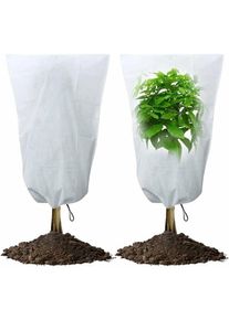 Anpviz - Paillage pour plante Voile d'hivernage,Housse Hivernage Pour Plantes 2 Pcs Sac De Protection Contre Le Gel Des D'hiver Non Tissée