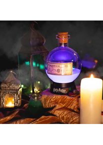 Harry Potter Potion Lamp - Large