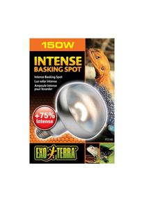 EXO TERRA Intense Basking Spot 150 W