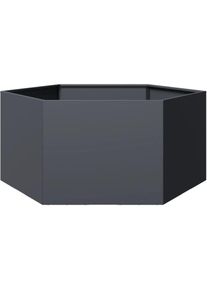 Jardinière Pot de Fleurs anthracite hexagone 104x90x45 cm acier CFW28596