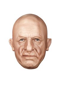 maskworld Doctor Mask