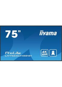 Monitor Videowall iiyama ProLite LH7575UHS-B1AG 75" 4K Ultra HD