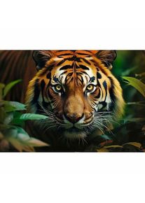 Trefl Puzzle Premium Plus Divoký Tiger, 1000 dielikov