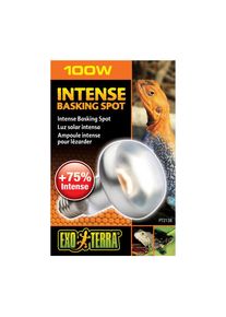 EXO TERRA Intense Basking Spot 100 W