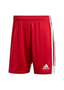 Adidas Tastigo 19 - Shorts