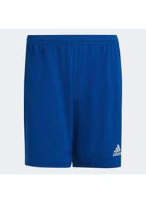 adidas Performance Trainingsshorts »ENT22 SHO«, (1 tlg.)