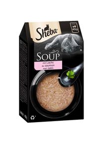 40x40 g SHEBA Soup mit Lachs