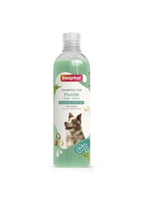 beaphar Hundeshampoo Fell-Glanz 250ml