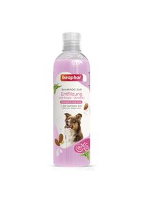 beaphar Entfilzungs-Shampoo 250ml