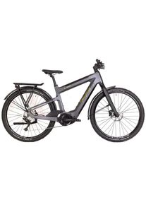 Kneissl Design Carbon Urban Prestige Men Black/Gold 2022 - RH 48 cm