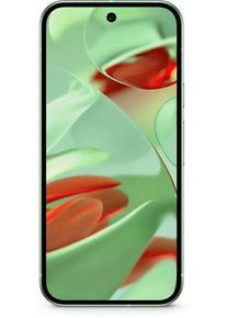 Google Pixel 9 | 128 GB | Dual-SIM | Wintergreen