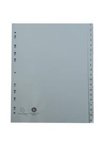 Exacompta - Cod. 1721E - Divisori per raccoglitori ad anelli con 20 tasti numerici 1-20 - Polipropilene riciclato grigio - A4 - 20 pezzi
