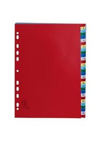 Exacompta - Cod. 93E - Divisori per raccoglitori ad anelli con 31 tasti numerici 1-31- Frontespizio stampabile - Ppl multicolore - A4 - 20 pezzi
