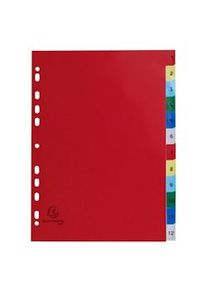 Exacompta - Cod. 1512E - Divisori per raccoglitori ad anelli con 12 tasti numerici 1-12 - Frontespizio stampabile - Ppl multicolore - A4 - 20 pezzi