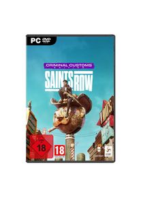 Deep Silver Saints Row (Criminal Customs Edition) (DE/Multi in Game)