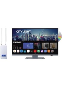 Falcon WebOS SMART Combo Camping TV 24" (60cm), DVD, HD-Ready, BT 5.0 mit 4G Router