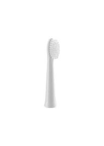 Panasonic Bürstenköpfe WEW0972W503 - replacement brushhead