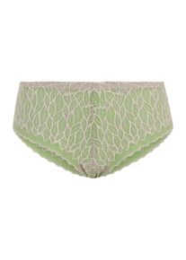 Cache Coeur Cache Cœur Culotte Femme gris, vert taille S
