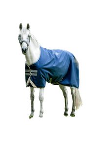 Horseware Outdoor Rug Amigo Bravo 12 Original Turnout Medium 250 g, Winter Rug